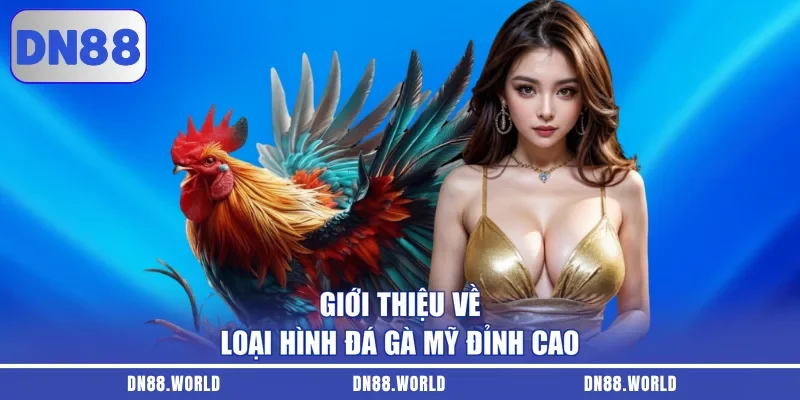 Giới thiệu về loại hình đá gà Mỹ đỉnh cao