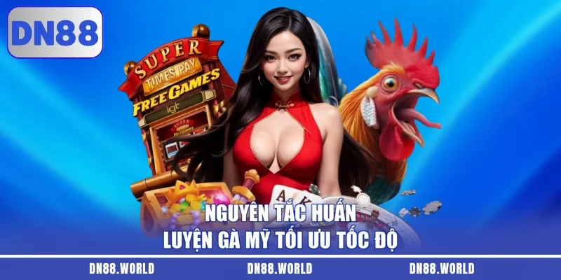 Nguyên tắc huấn luyện gà Mỹ tối ưu tốc độ